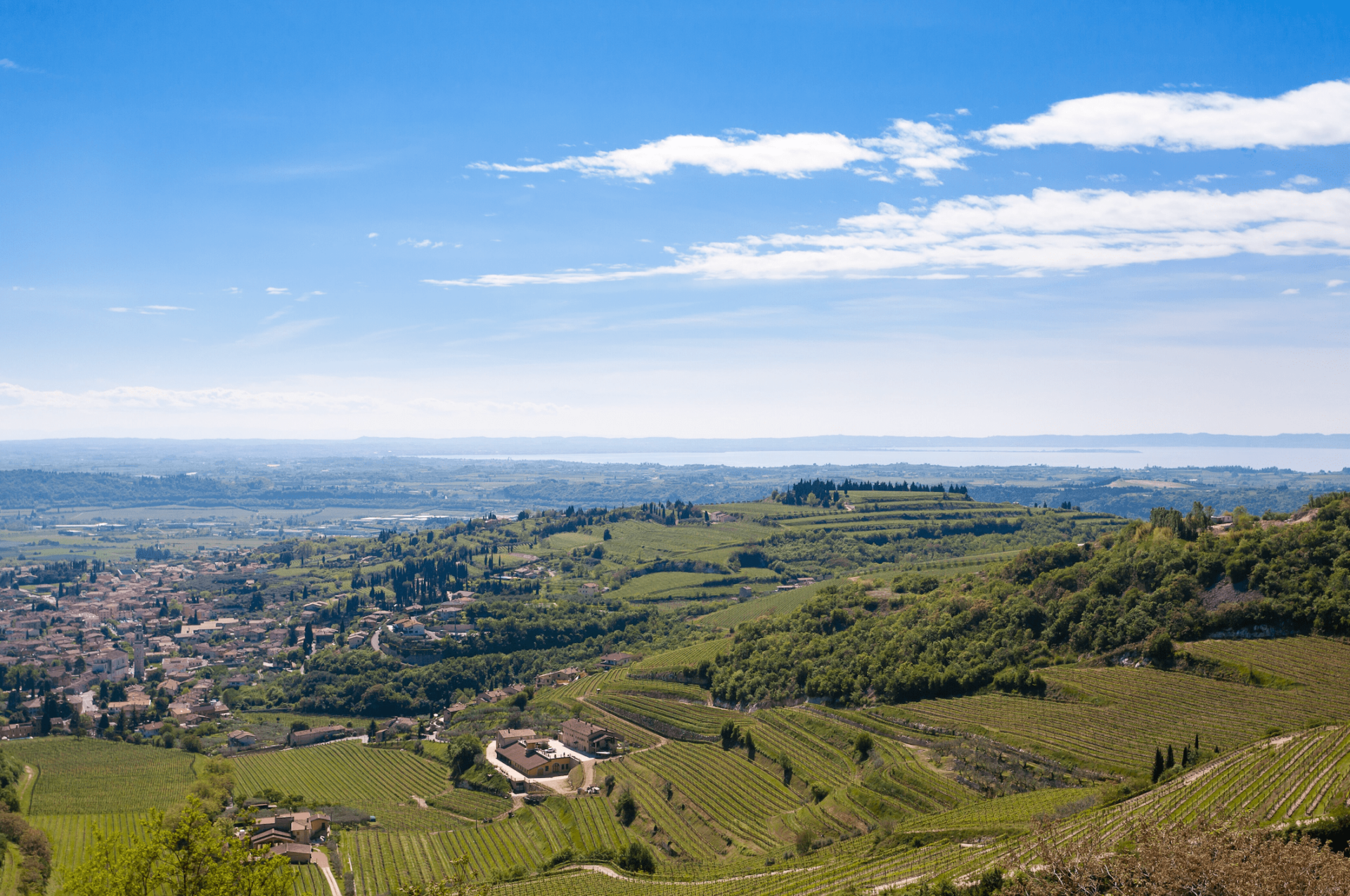 Weinlese in Verona: ein Erlebnis im Herzen der Tradition der Wein- und Ölherstellung